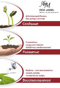 Бухгалтерские услуги в Новосибирске abm.jpg